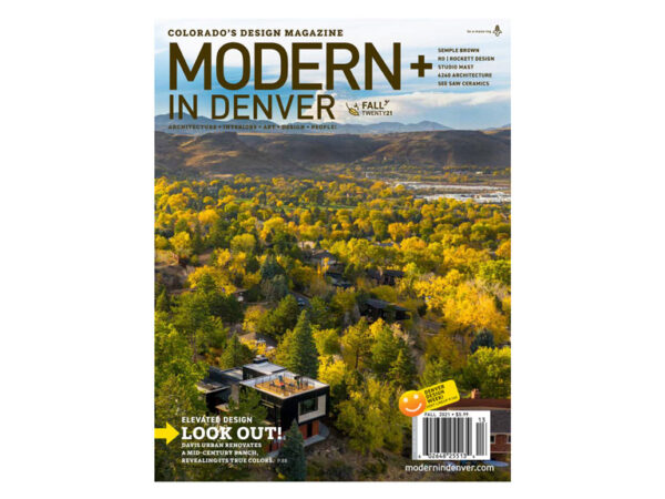 Modern In Denver Image
